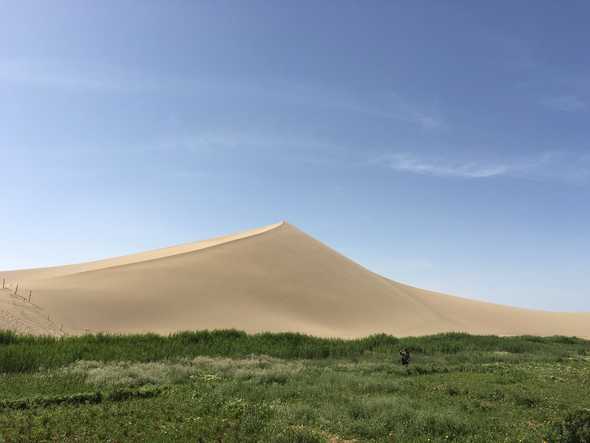  Oasis in the Gobi desert 